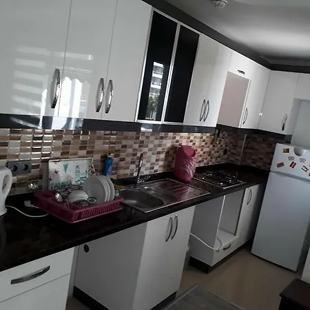 Demirtas Apartment Bursa
