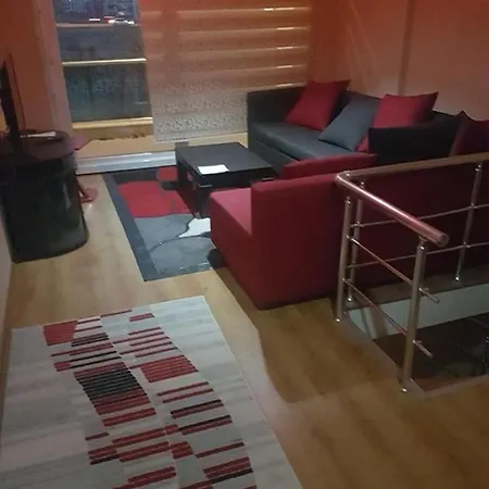 Demirtas Apartment Bursa